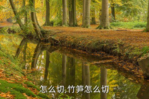 怎么切,竹笋怎么切
