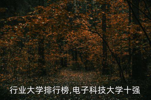 电子行业大学排行榜,电子科技大学十强