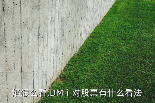 股票焰怎么看,DMⅰ对股票有什么看法?