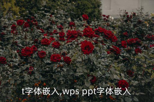 ppt字体嵌入,wps ppt字体嵌入