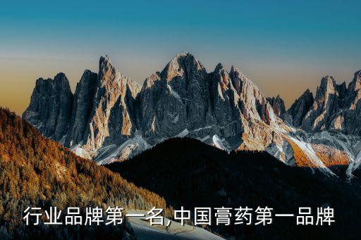 行业品牌第一名,中国膏药第一品牌
