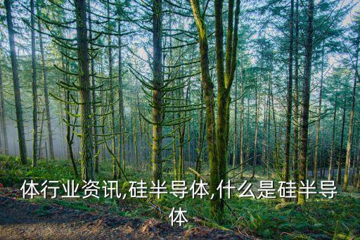 体行业资讯,硅半导体,什么是硅半导体
