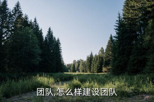 团队,怎么样建设团队