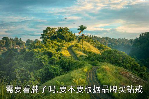 需要看牌子吗,要不要根据品牌买钻戒