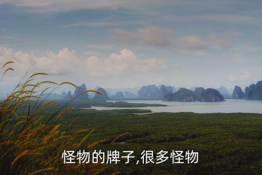 怪物的牌子,很多怪物