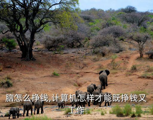 脑怎么挣钱,计算机怎样才能既挣钱又工作