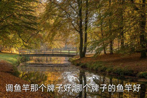 19调鱼竿那个牌子好,哪个牌子的鱼竿好?