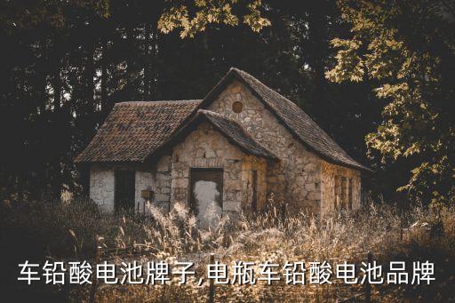 车铅酸电池牌子,电瓶车铅酸电池品牌