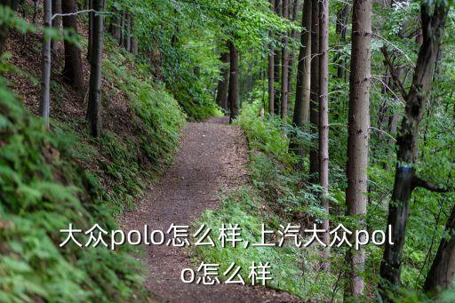 上海大众polo怎么样,上汽大众polo怎么样?