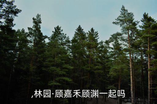 ,林园·顾嘉禾顾渊一起吗