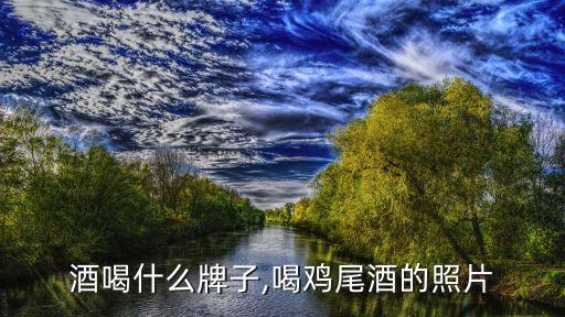 鸡尾酒喝什么牌子,喝鸡尾酒的照片