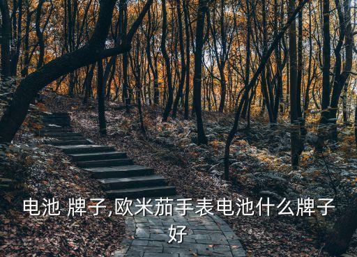 手表电池 牌子,欧米茄手表电池什么牌子好?