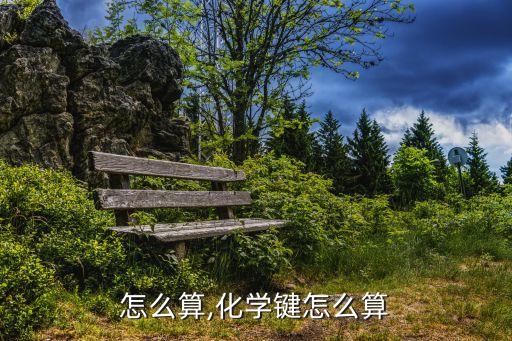 键码怎么算,化学键怎么算?