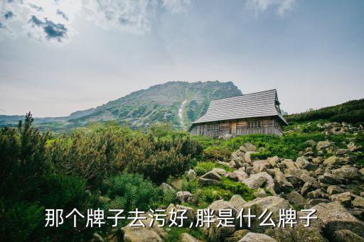 那个牌子去污好,胖是什么牌子