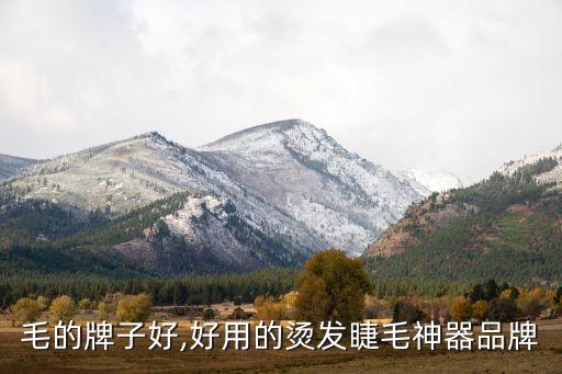 烫睫毛的牌子好,好用的烫发睫毛神器品牌