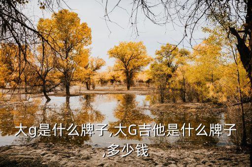 大g是什么牌子,大G吉他是什么牌子,多少钱