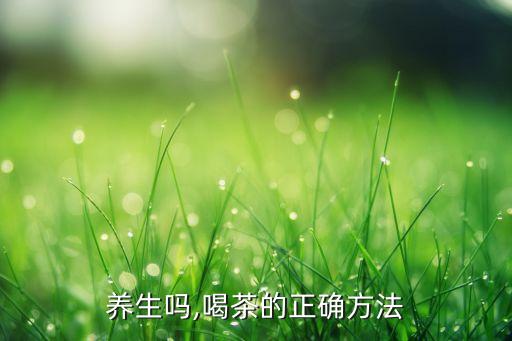 喝茶养生吗,喝茶的正确方法