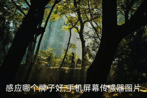 感应哪个牌子好,手机屏幕传感器图片