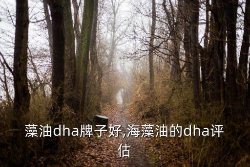 日本藻油dha牌子好,海藻油的dha评估