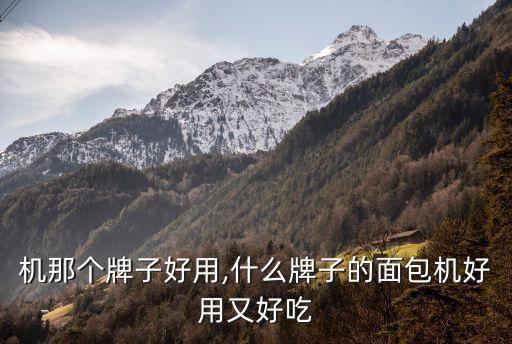 面包机那个牌子好用,什么牌子的面包机好用又好吃?