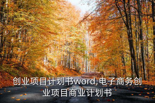 创新创业项目计划书word,电子商务创业项目商业计划书?