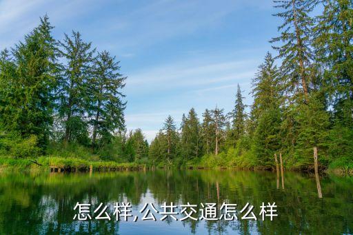 怎么样,公共交通怎么样