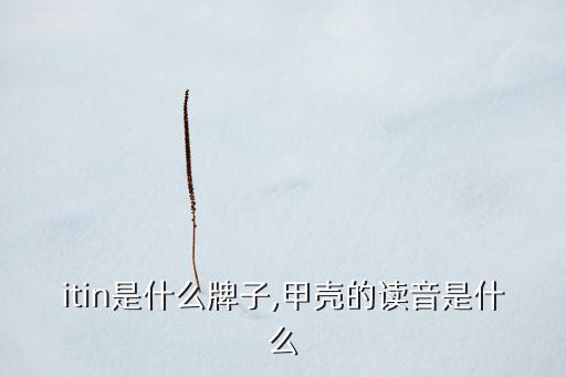 chitin是什么牌子,甲壳的读音是什么?