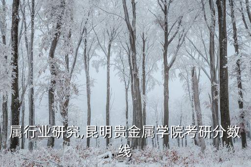 贵金属行业研究,昆明贵金属学院考研分数线