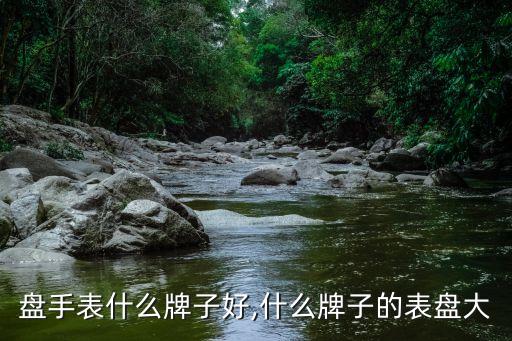 大表盘手表什么牌子好,什么牌子的表盘大?