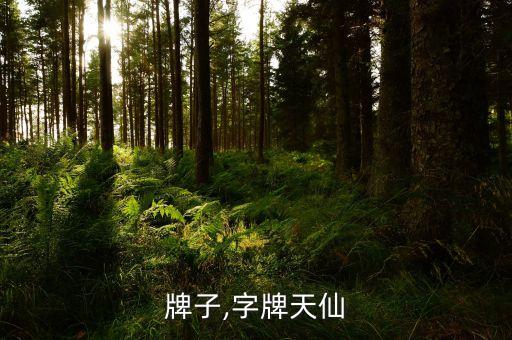 ci牌子,字牌天仙