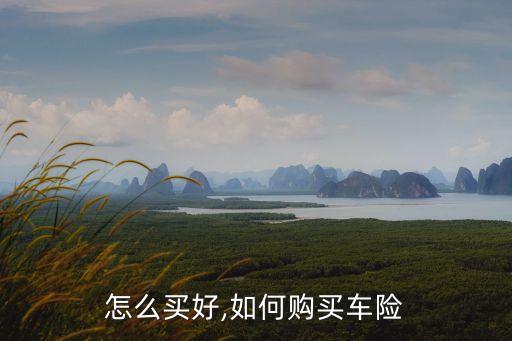 怎么买好,如何购买车险
