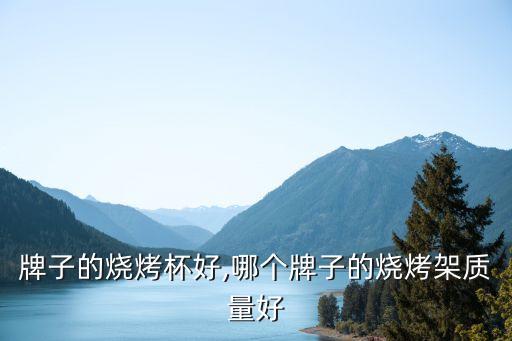 什么牌子的烧烤杯好,哪个牌子的烧烤架质量好?