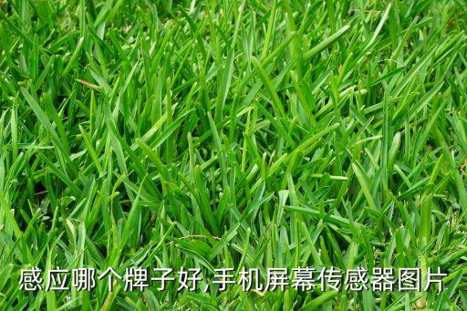 感应哪个牌子好,手机屏幕传感器图片