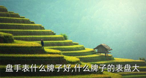 盘手表什么牌子好,什么牌子的表盘大