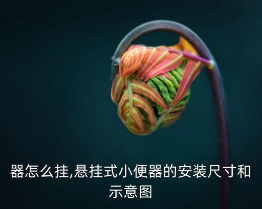 小便器怎么挂,悬挂式小便器的安装尺寸和示意图