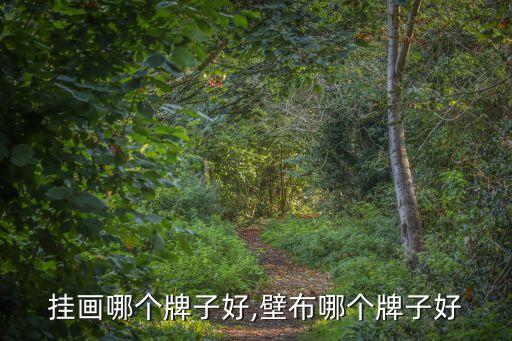 挂画哪个牌子好,壁布哪个牌子好