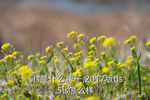 ds 5ls是什么牌子,2017版ds 5ls怎么样?