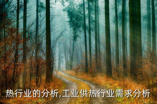 热行业的分析,工业供热行业需求分析