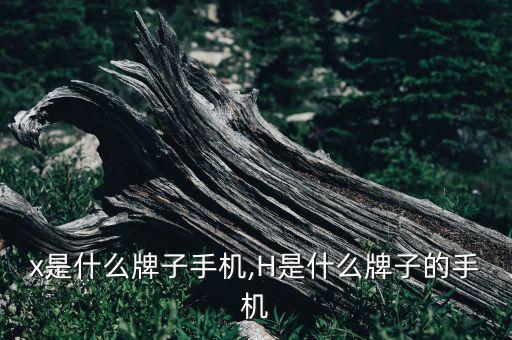 hwx是什么牌子手机,H是什么牌子的手机?
