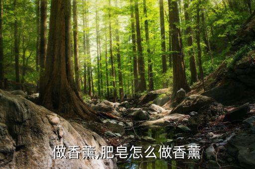 怎么做香薰,肥皂怎么做香薰