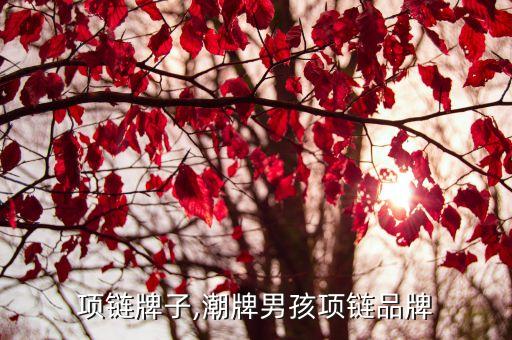 潮男项链牌子,潮牌男孩项链品牌