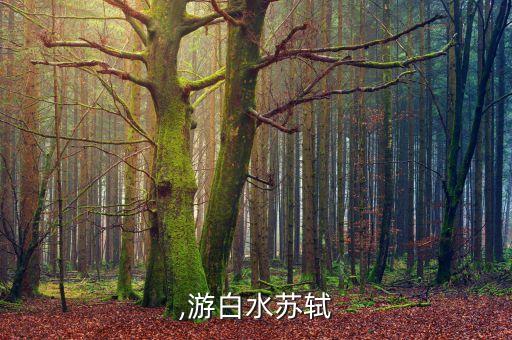苏过,游白水苏轼