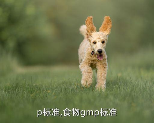 p标准,食物gmp标准
