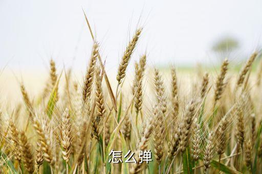 D7怎么弹
