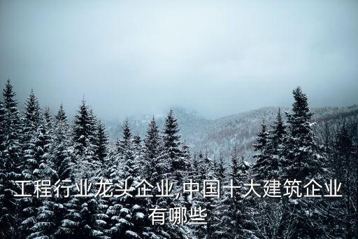 工程行业龙头企业,中国十大建筑企业有哪些