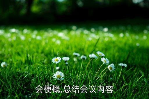 会梗概,总结会议内容