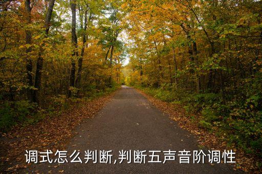 调式怎么判断,判断五声音阶调性