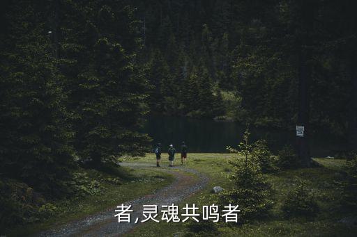 者,灵魂共鸣者