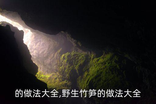 的做法大全,野生竹笋的做法大全