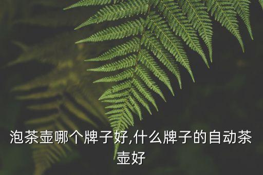 泡茶壶哪个牌子好,什么牌子的自动茶壶好